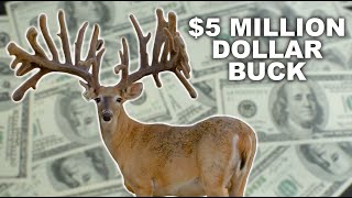 Multi Million Dollar Buck at Blackjack Whitetails [upl. by Litton794]