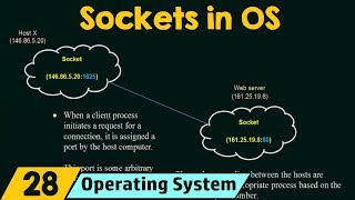 Sockets in Operating System [upl. by Elleinet]