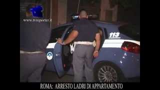 ARRESTO IN DIRETTA LADRI DAPPARTAMENTO [upl. by Moscow24]