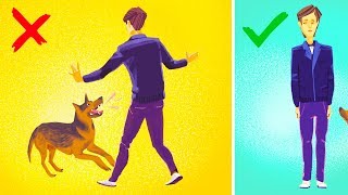 How to Survive a Dog Attack [upl. by Yenaj]