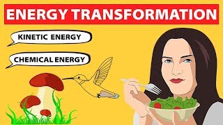 Energy Transformations  Physics [upl. by Esinrahc]