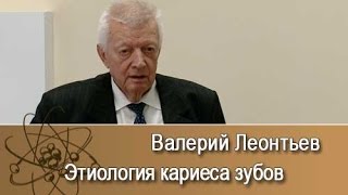 Этиология кариеса зубов Лекция Валерия Леонтьева [upl. by Khalil]