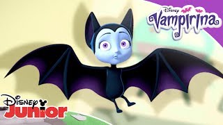 🦇 5 najnietoperzastych przygód  Vampirina  Disney Junior Polska [upl. by Nyladnarb]