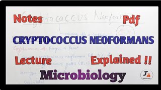 Cryptococcus neoformans Microbiology [upl. by Aleacim]