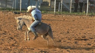 Donkey Riding  Last Ride  Wow 2019 Saints Roost Jr Ranch Rodeo [upl. by Ydennek53]