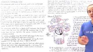 Introduction to Cardiovascular System [upl. by Rumney507]