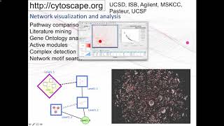 Network Visualization and Analysis with Cytoscape [upl. by Siravrat836]