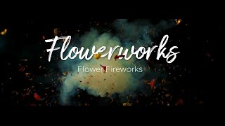 Exploding Flower Fireworks [upl. by Asiul]