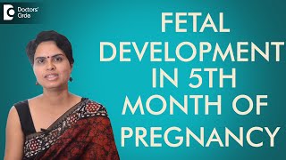 5th Month  Fetal development in fifth month of pregnancy  Dr Shefali Tyagi [upl. by Berhley]