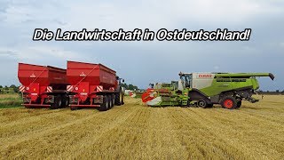 Die Landwirtschaft in Ostdeutschland [upl. by Ailecra]