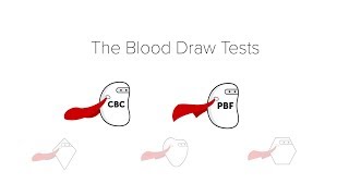 Complete Blood Count CBC amp Peripheral Blood Film [upl. by Gardell]