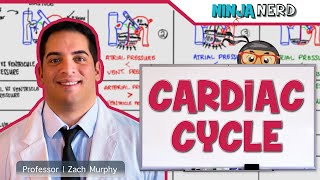 Cardiovascular  Cardiac Cycle [upl. by Sirama]