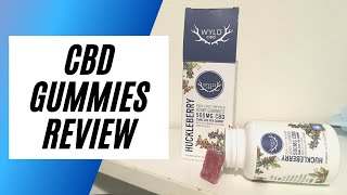 CBD Gummies Review  Benefits of Wyld CBD Gummies [upl. by Aidekal]