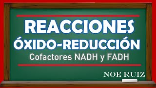 Reacciones ÓxidoReducción Cofactores NADH y FADH  Bioquímica [upl. by Harobed]