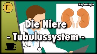 Unser Tubulussystem erklärt Wie wird aus Blut Urin Teil 1 [upl. by Ruberta]