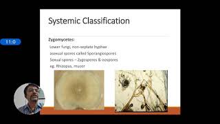 Introduction to Mycology [upl. by Siravaj]