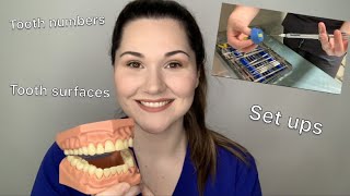 Dental assisting 101 The basics [upl. by Ramyaj58]