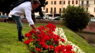 MARCO amp IL CLAN  ROSSE ROSE VIDEO UFFICIALE [upl. by Jurgen712]