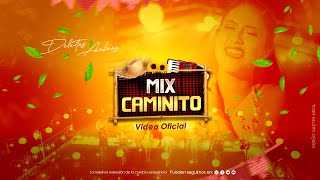 Deleites Andinos  Mix Caminito  Video Oficial [upl. by Naujud273]