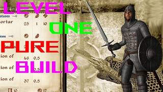 Overpowered Character Build Level 1 Pure  TES IV Oblivion [upl. by Eilojne993]