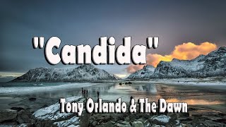 Candida  Tony Orlando [upl. by Akeyla443]