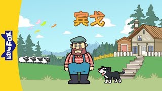 Bingo 宾戈  Singalongs  Chinese song  By Little Fox [upl. by Liebman]