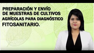 Toma y envío de muestras para diagnostico fitosanitario [upl. by Telford]