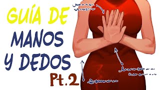 La Guía Definitiva de LENGUAJE CORPORAL 2 Manos y Dedos [upl. by Lounge]